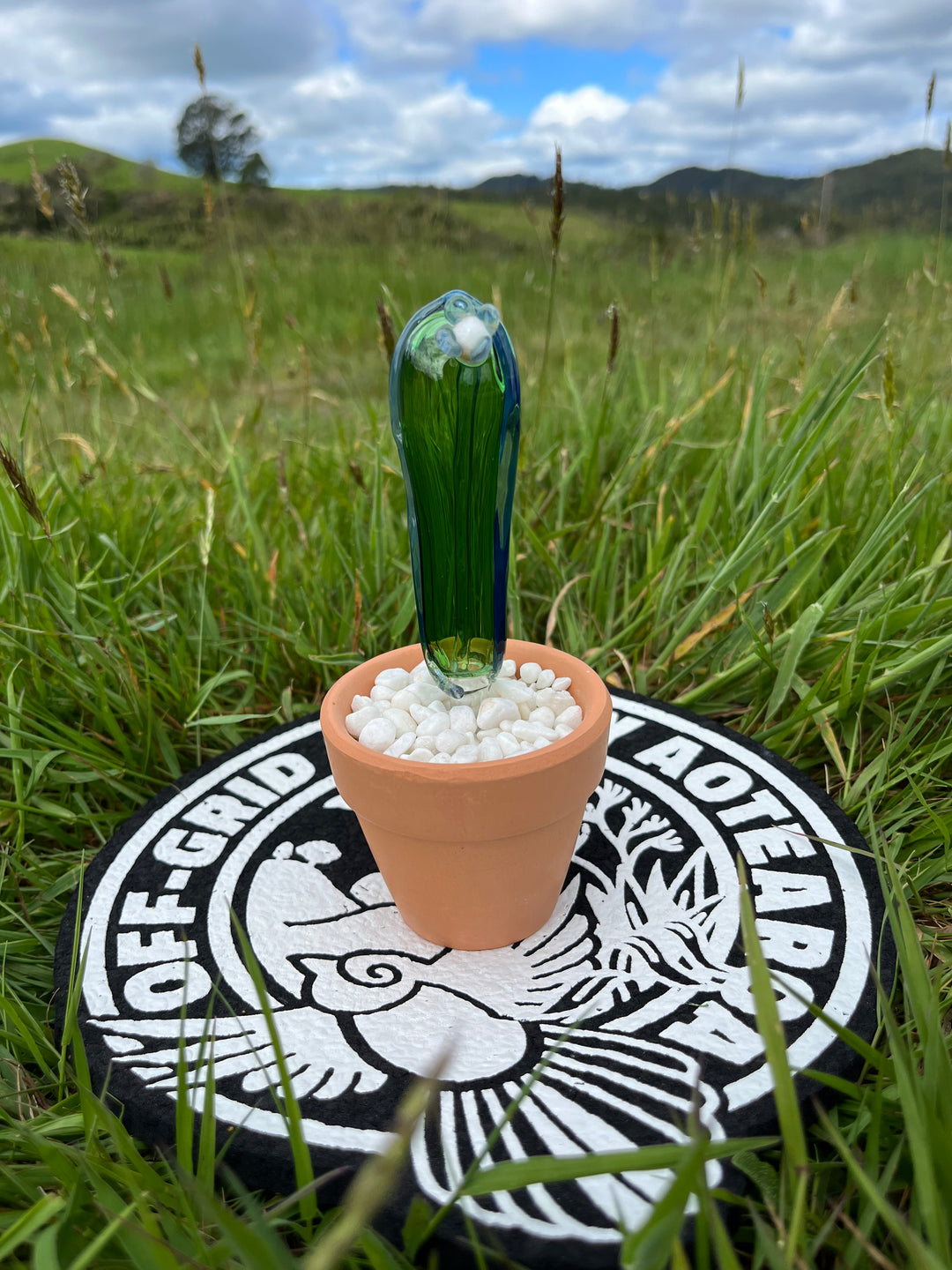 TGA Cactus Pot - Green #1