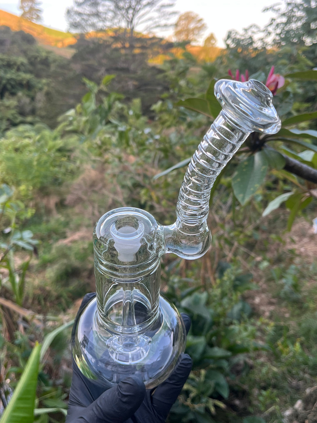 The Glass Bandit 14mm Bubbler - Clear