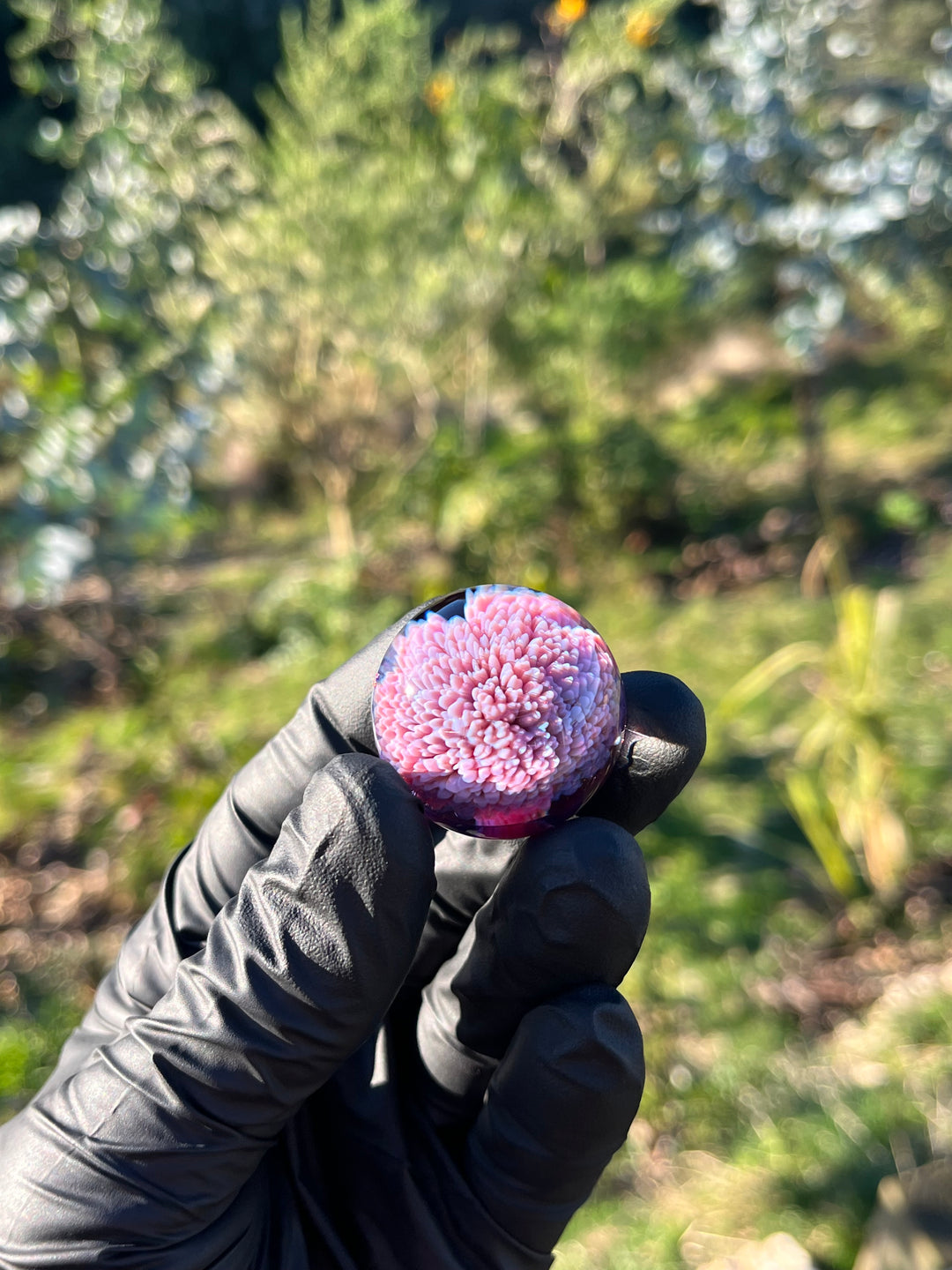 Jamie Clement 32mm Marble - Purple