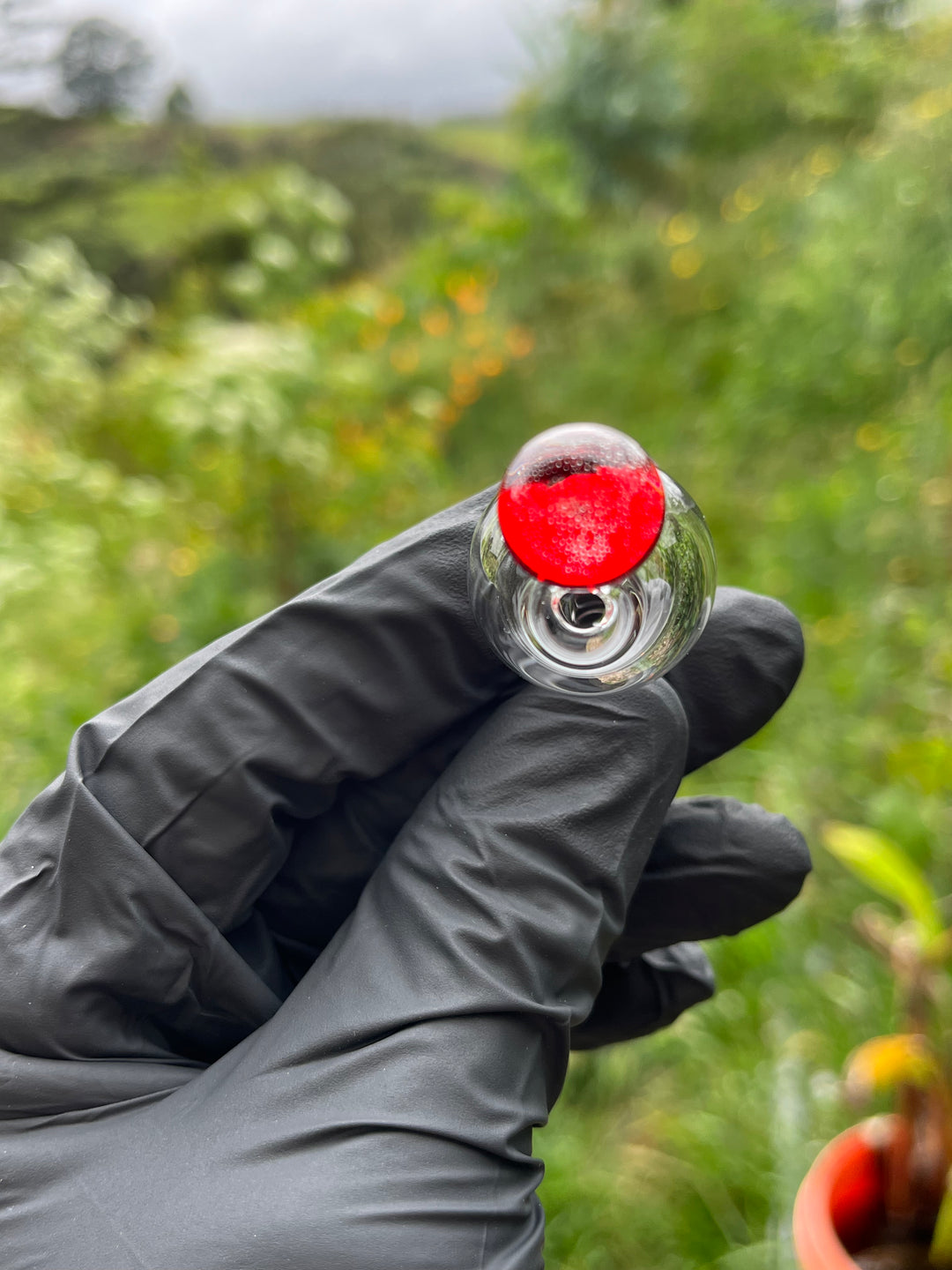 OJ Glass Bubble Cap - Red