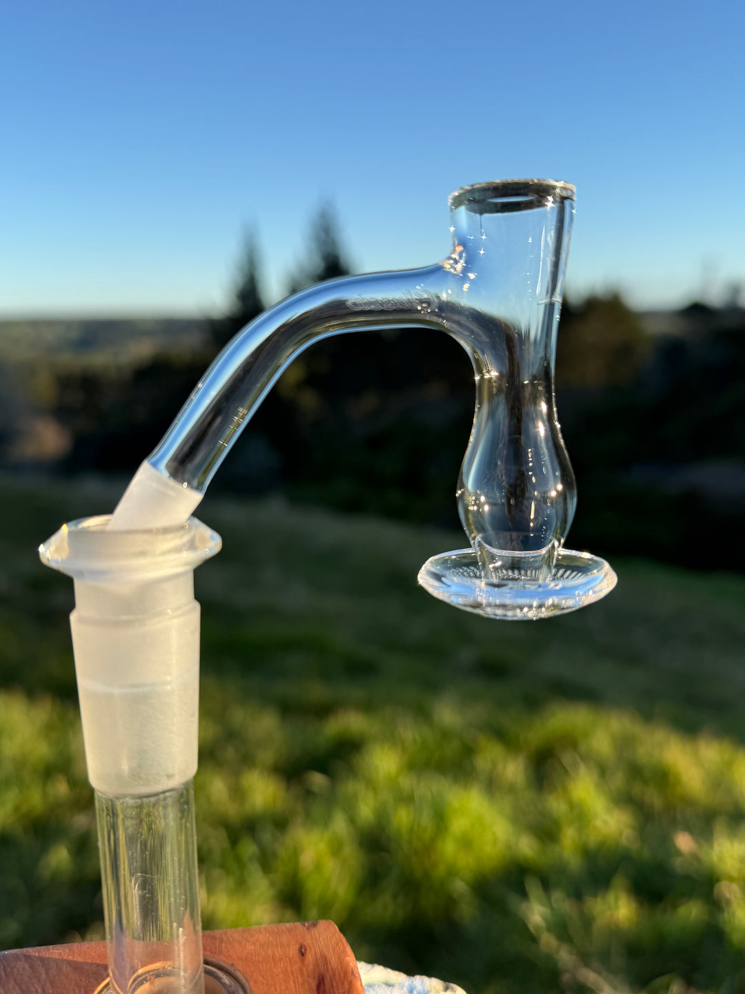 Victory Glassworks - Classic Venus