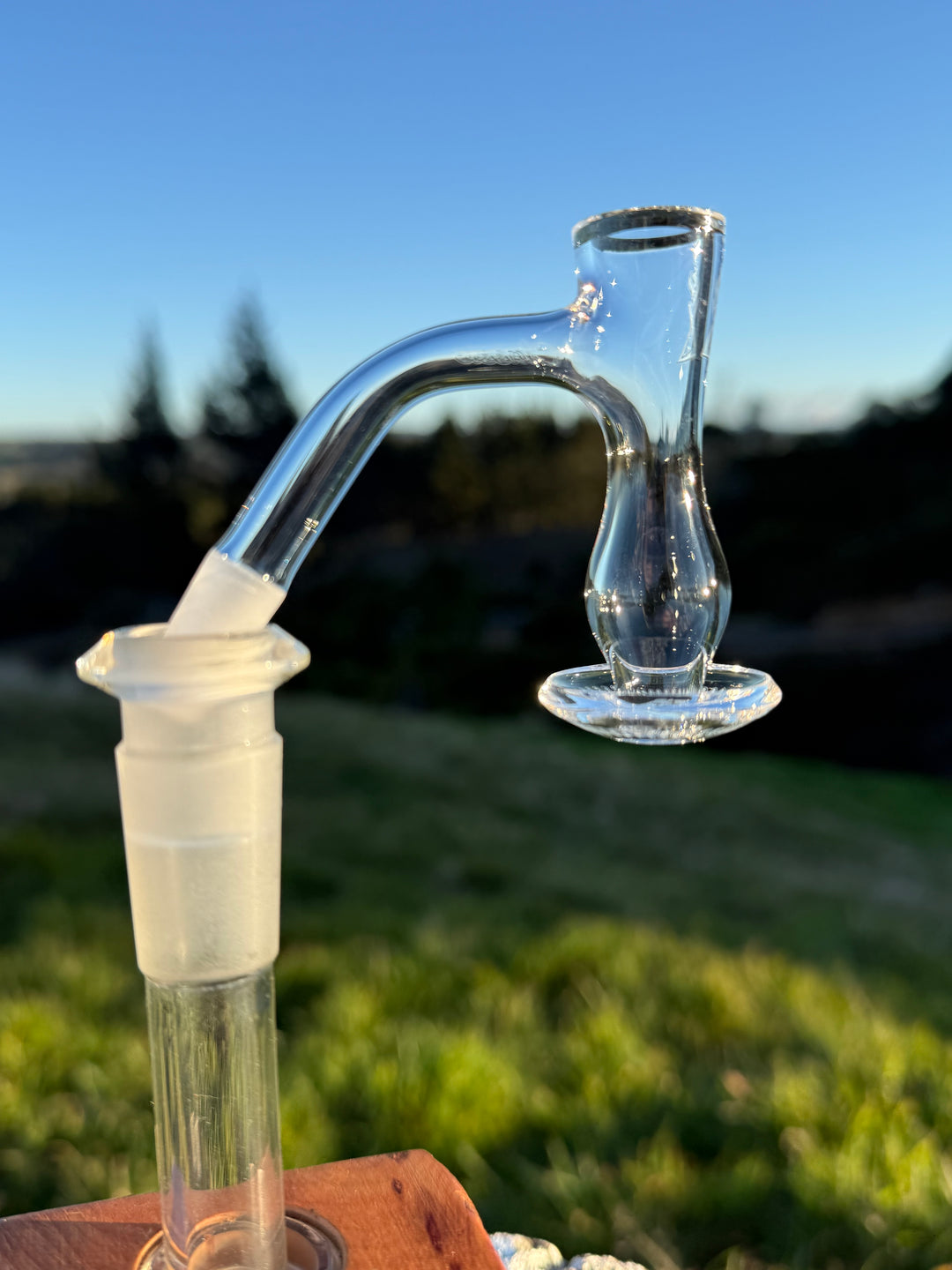 Victory Glassworks - Classic Venus