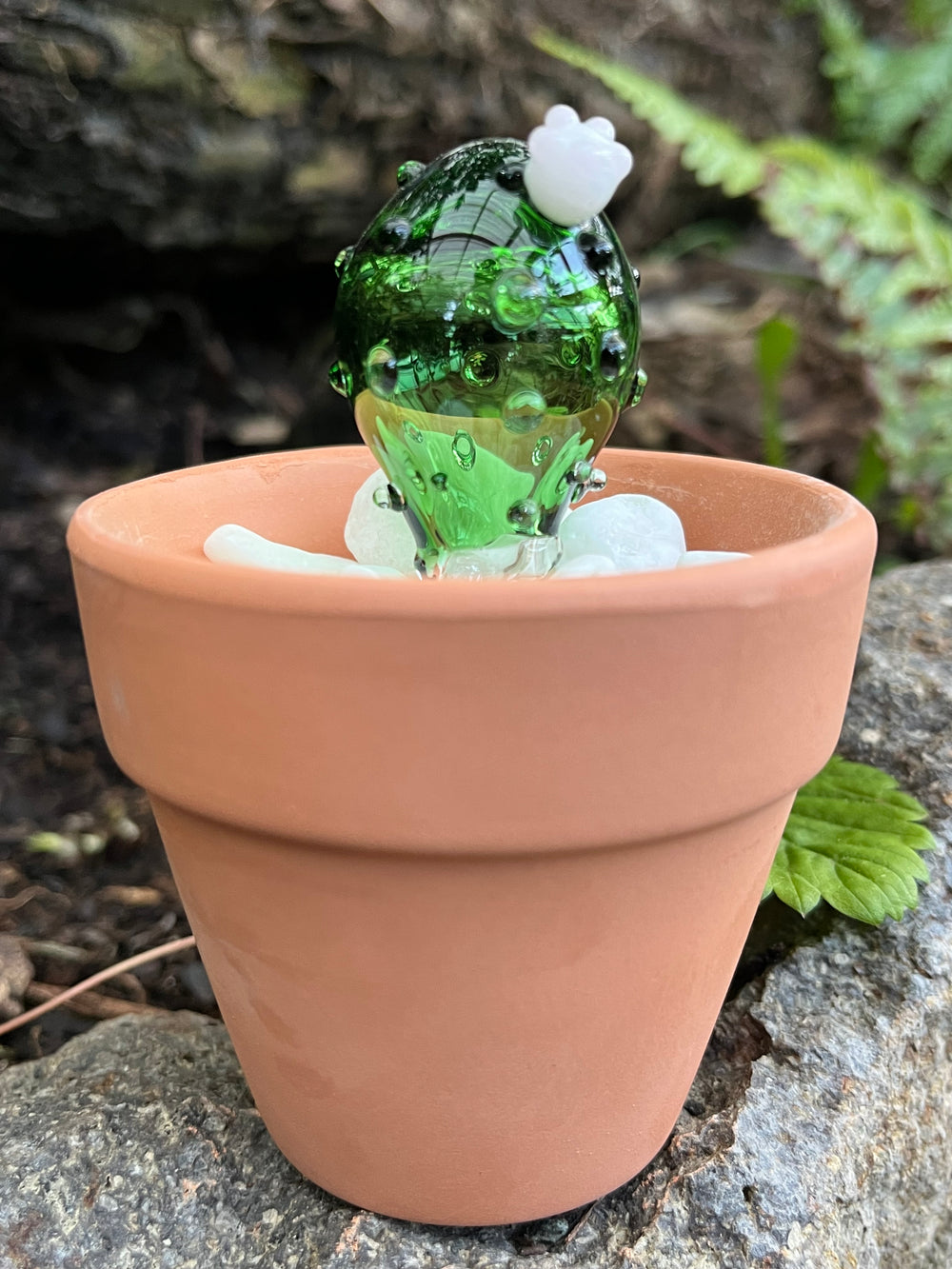 TGA Cactus Pot - Green #10