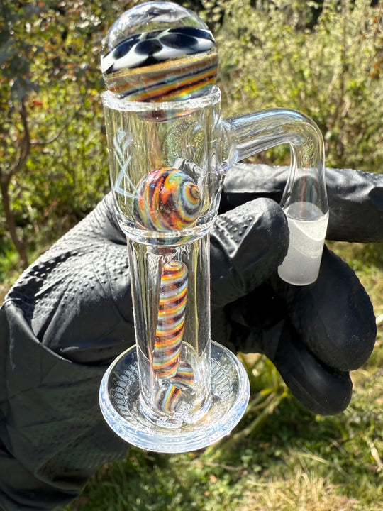 Polar Glass X Borobillicate Terp Slurper Set - Rainbow Wigwag