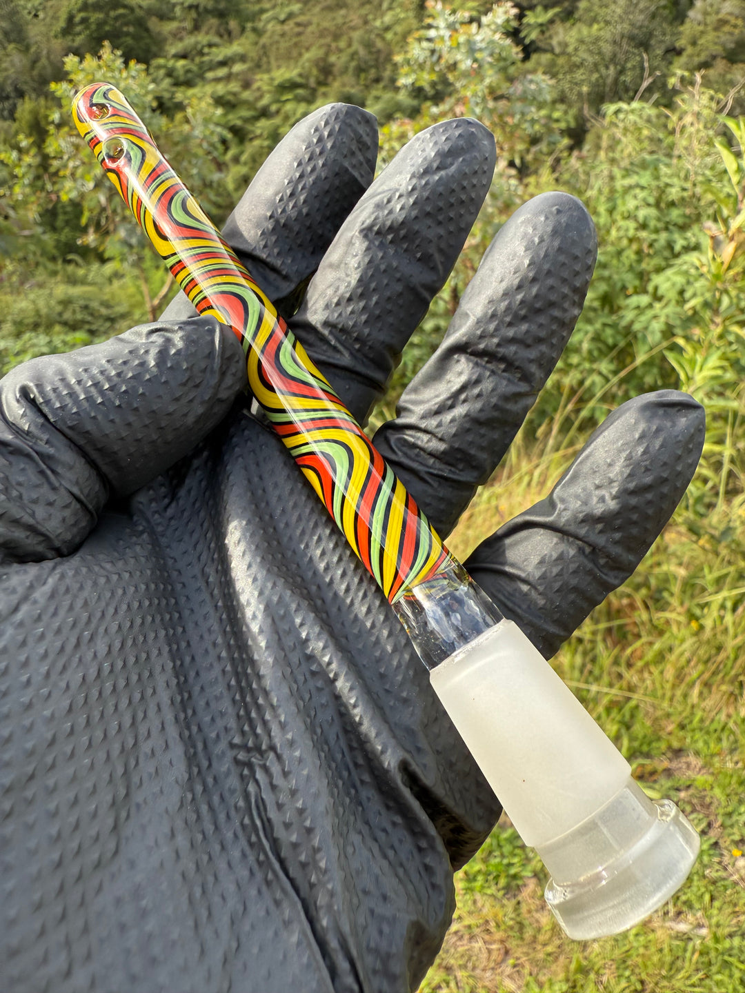 Jamie Clement Glass Collaboration   Downstem - Rasta