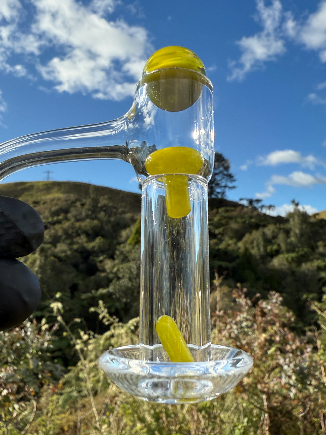 Jamie Clement Terp Slurper Set - Shrek