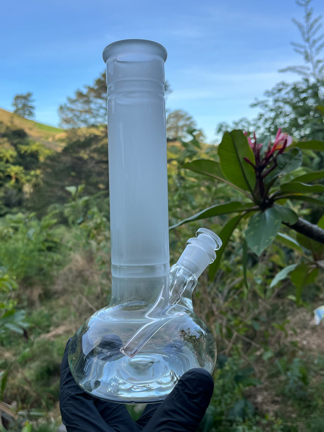 The Glass Bandit Beaker With Stem - Clear/Blasted/Gold Fumed