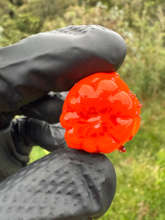 Wyrdglass Pumpkin Pendant - Orange