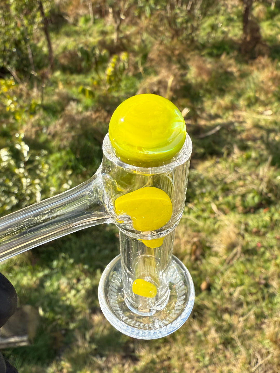 Jamie Clement Terp Slurper Set - Shrek