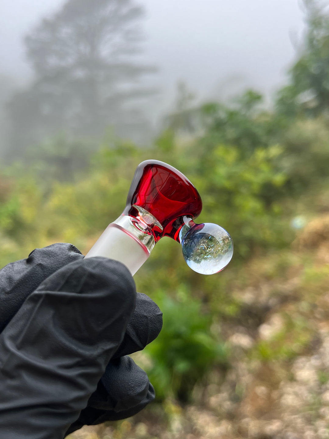 Empirical Glass Slide 14mm Dichro  - Pomegranate