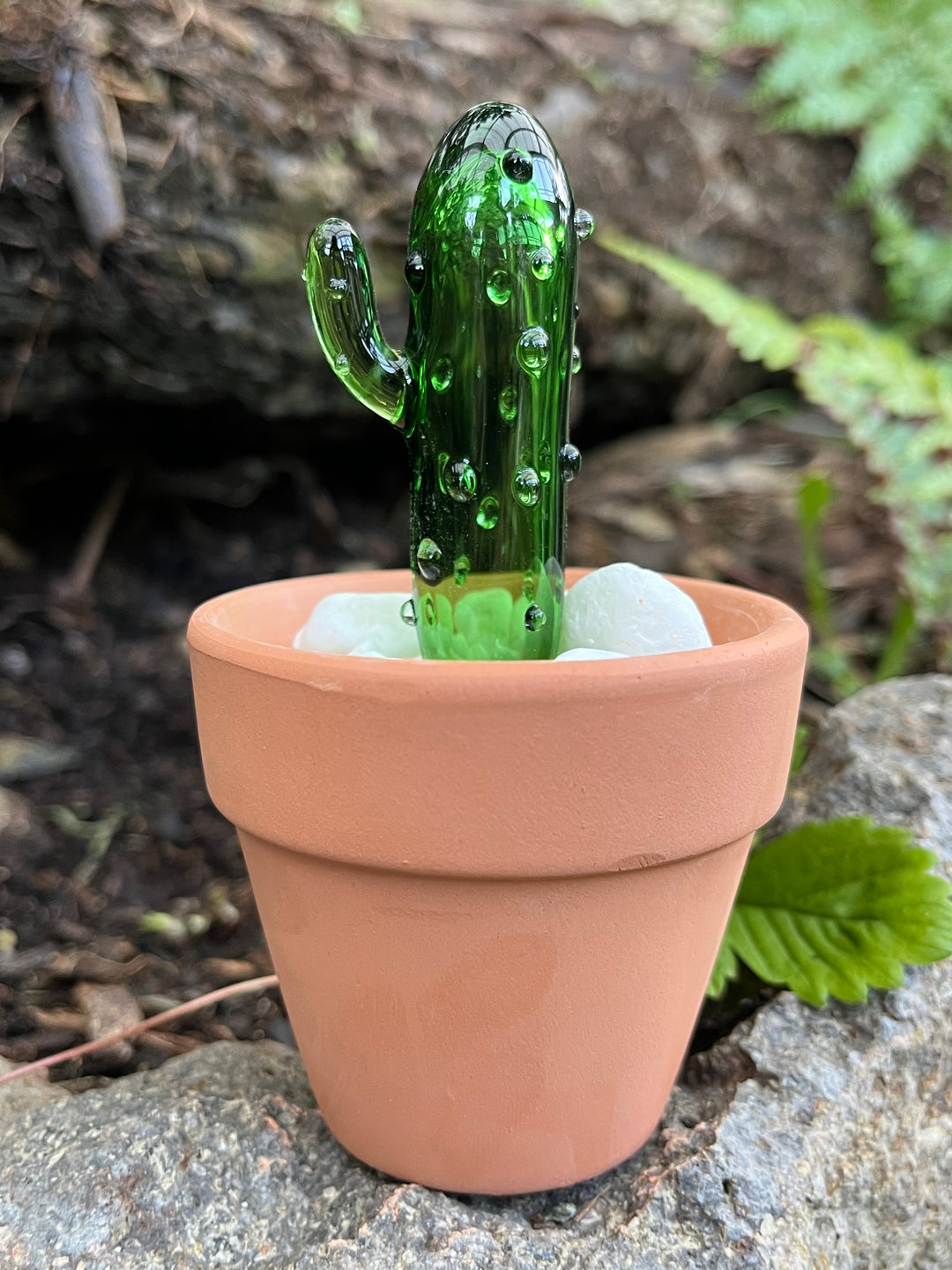 TGA Cactus Pot - Green #12