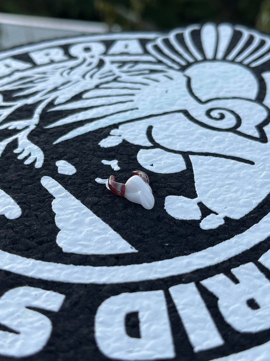 Waffle Glass Terp Pearl - Skull #2