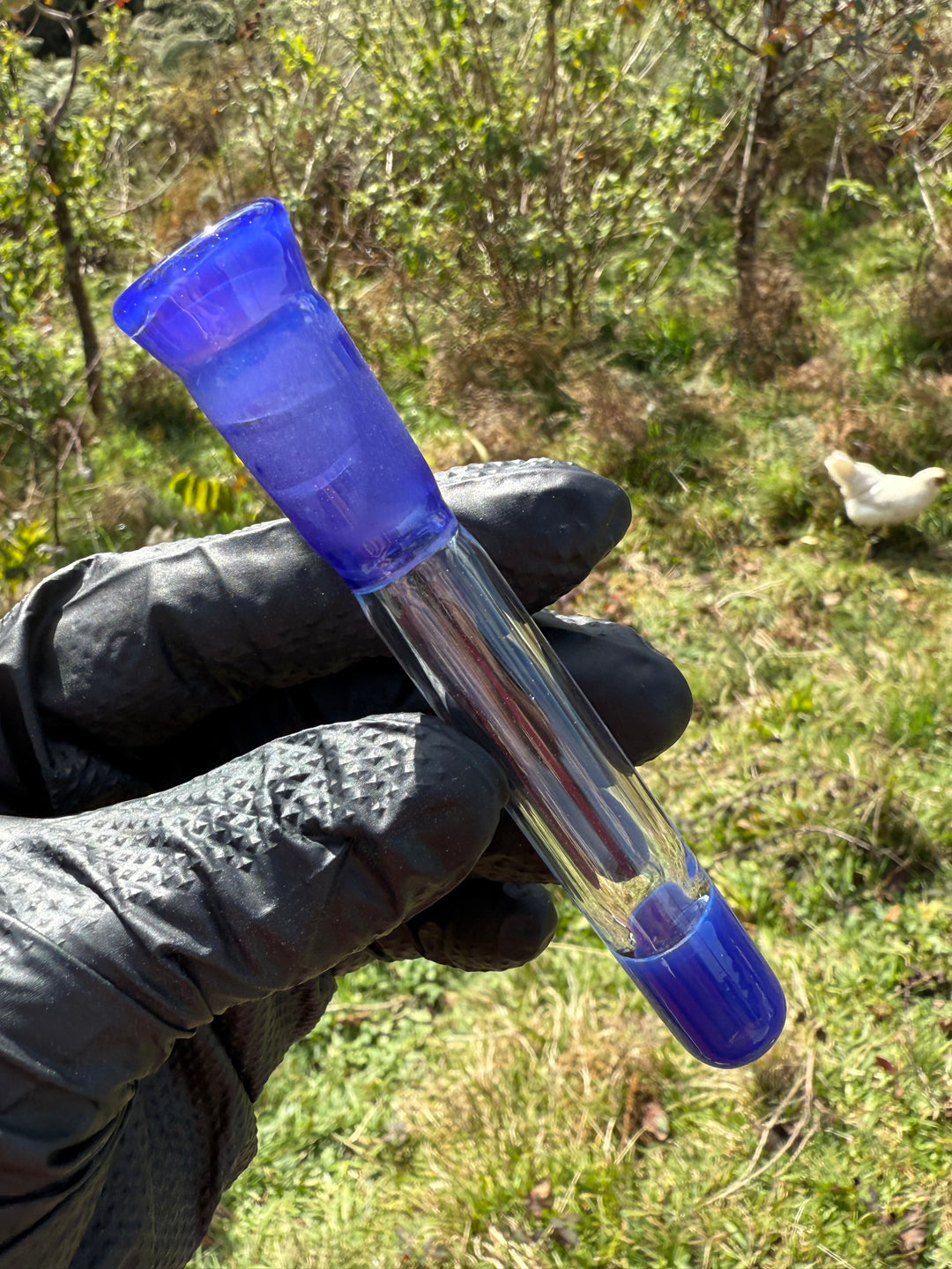 Jamie Clement Glass Downstem Seconds Quality - Blue