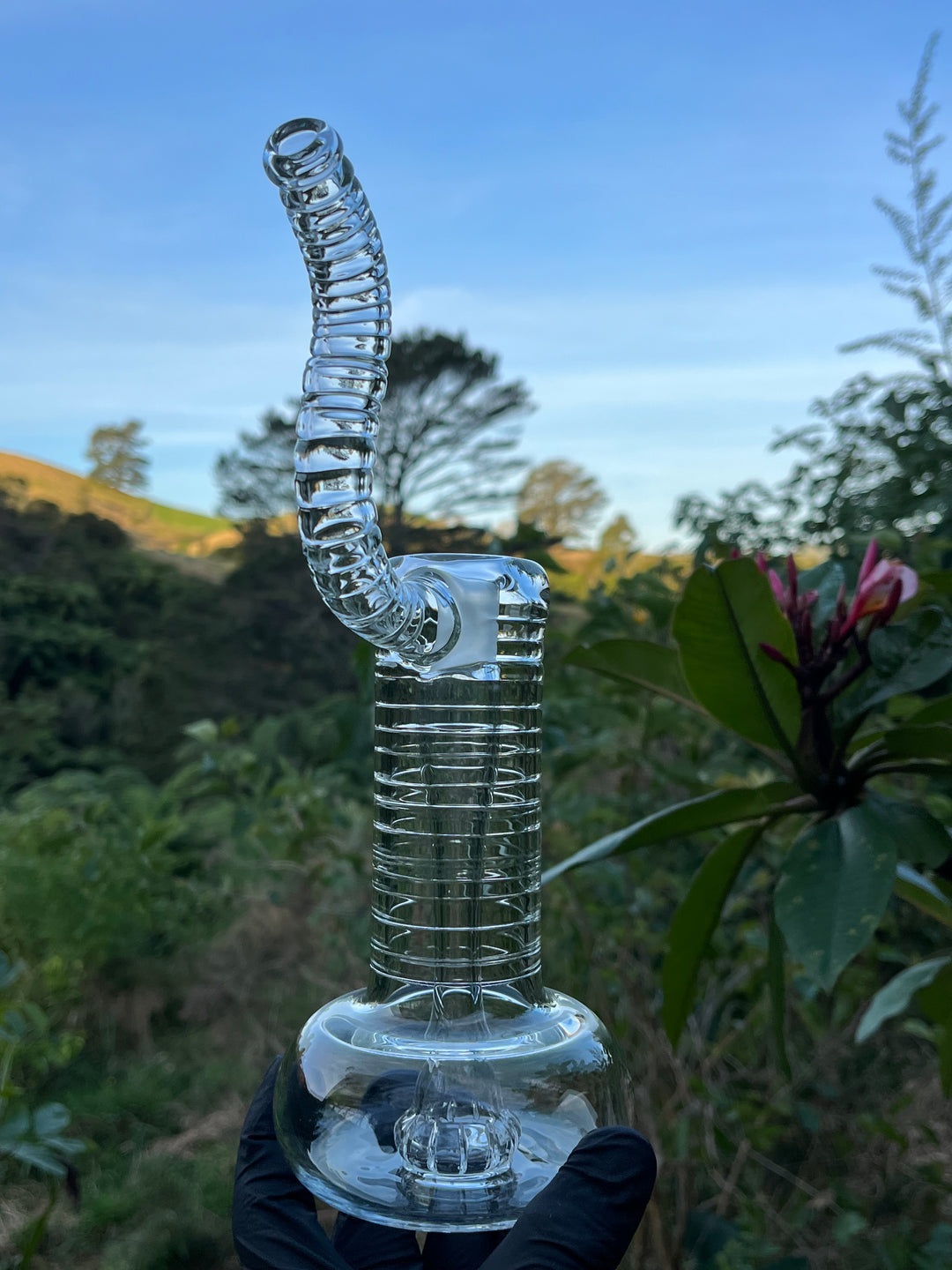 The Glass Bandit 18mm Bubbler #1 - Clear