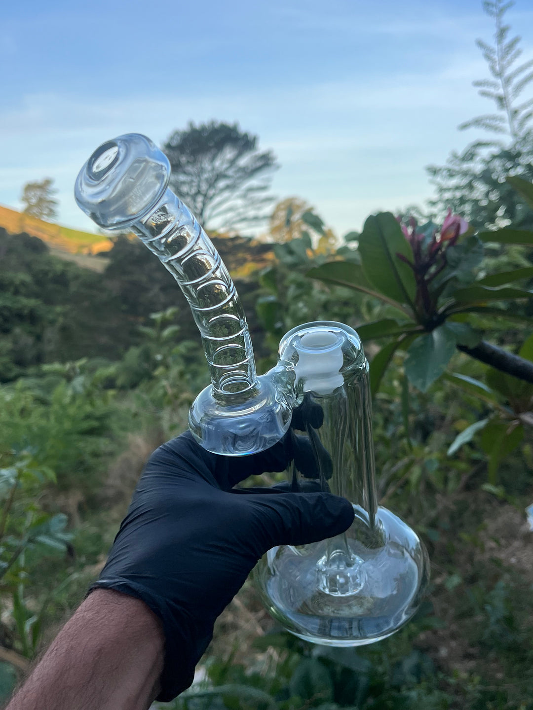 The Glass Bandit 18mm Bubbler #2 - Clear