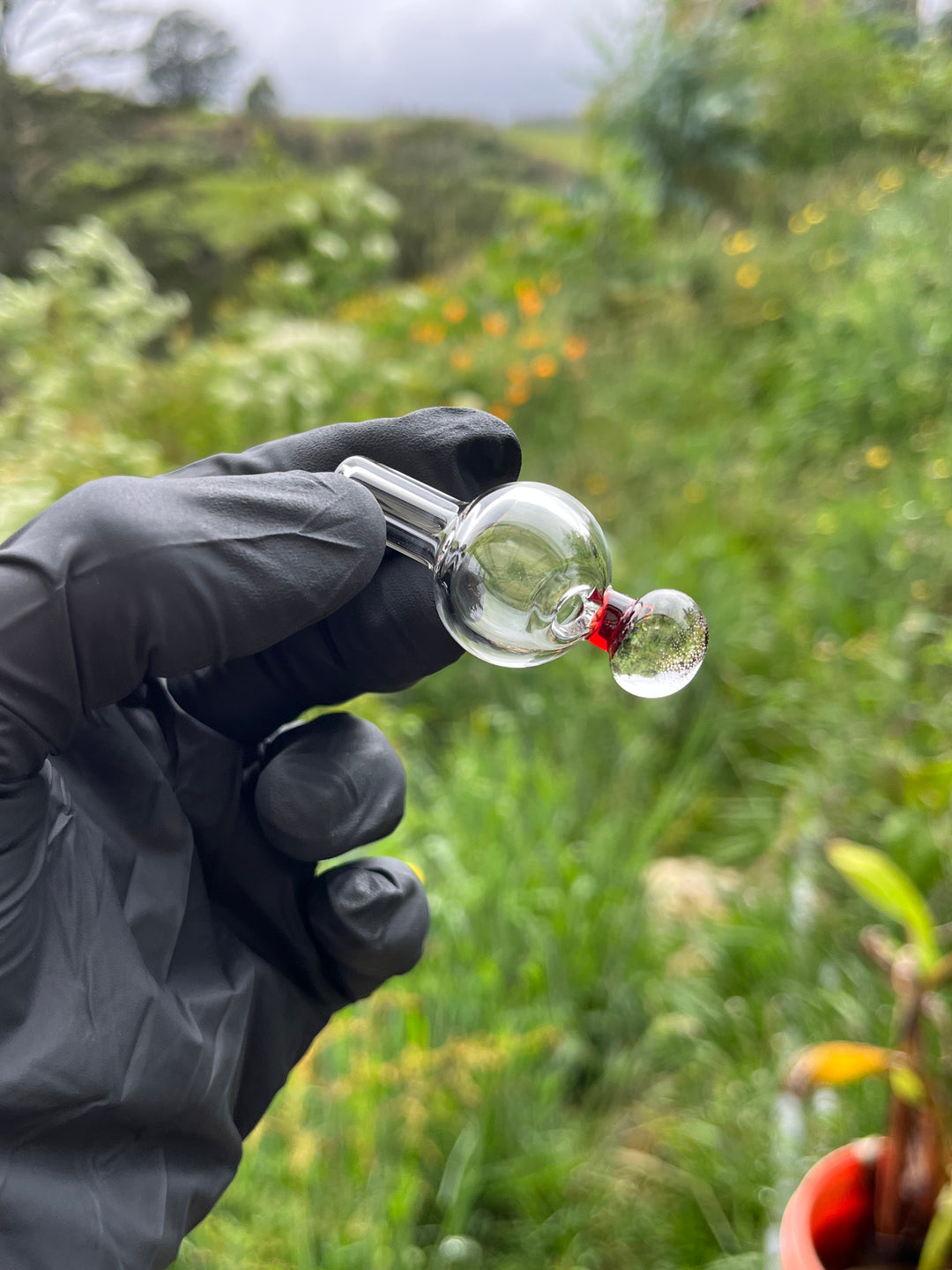 OJ Glass Bubble Cap - Red