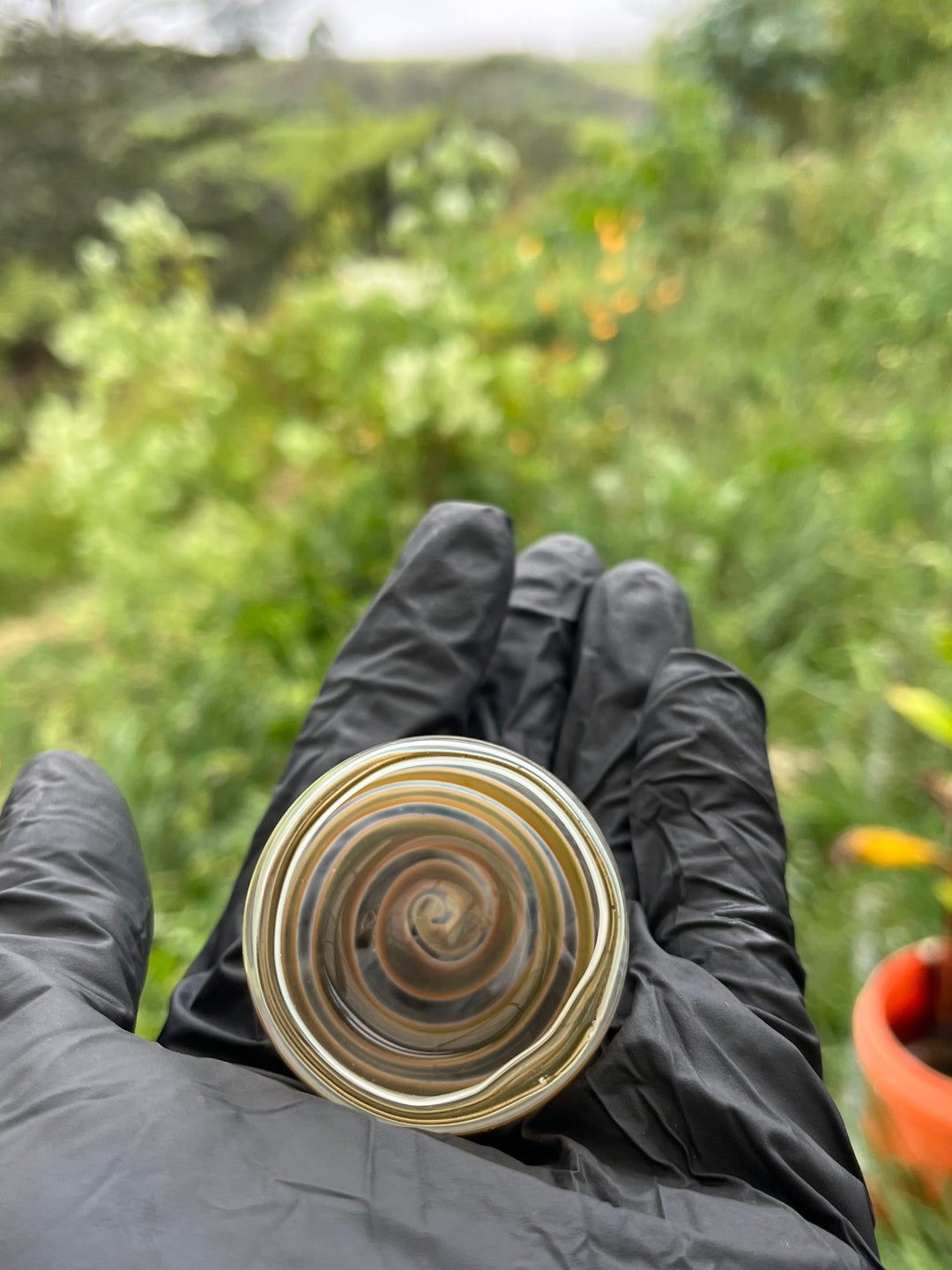 Jargo Glass Ash Jar - Fine Silver Fumed/NS Multi