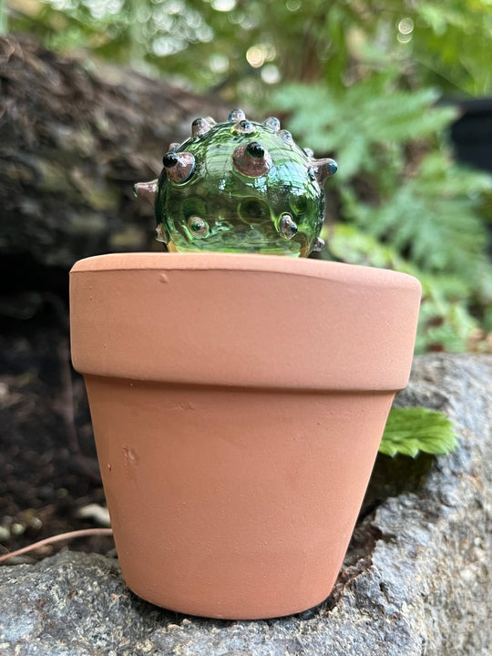 TGA Cactus Pot - Green #9