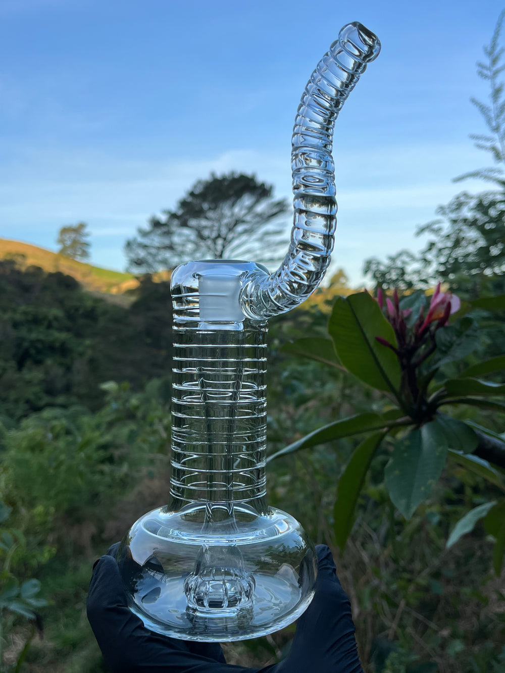 The Glass Bandit 18mm Bubbler #1 - Clear