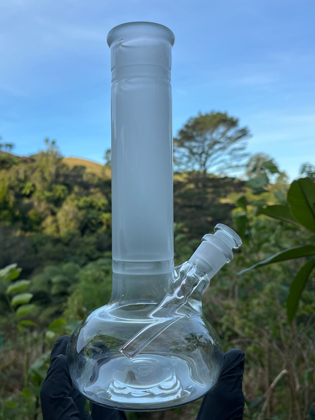 The Glass Bandit Beaker With Stem - Clear/Blasted/Gold Fumed