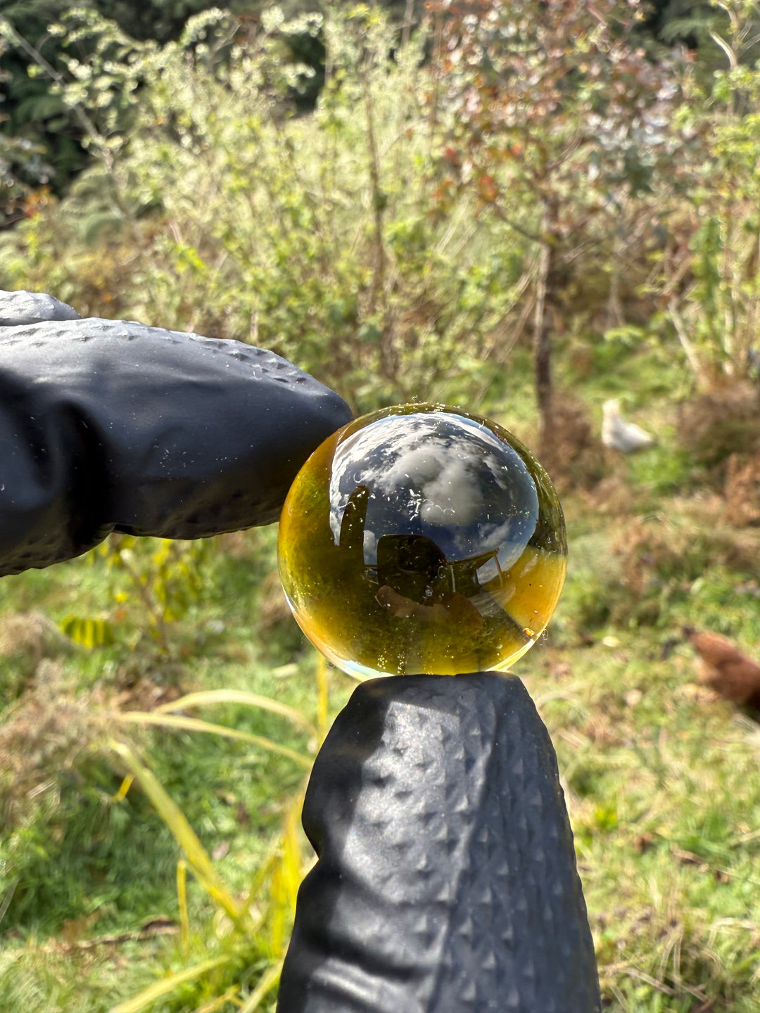 Jamie Clement 31mm Marble - Yellow/Black