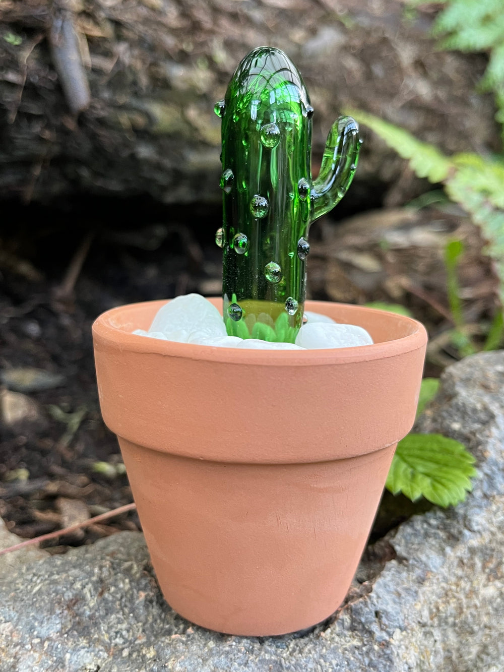 TGA Cactus Pot - Green #12