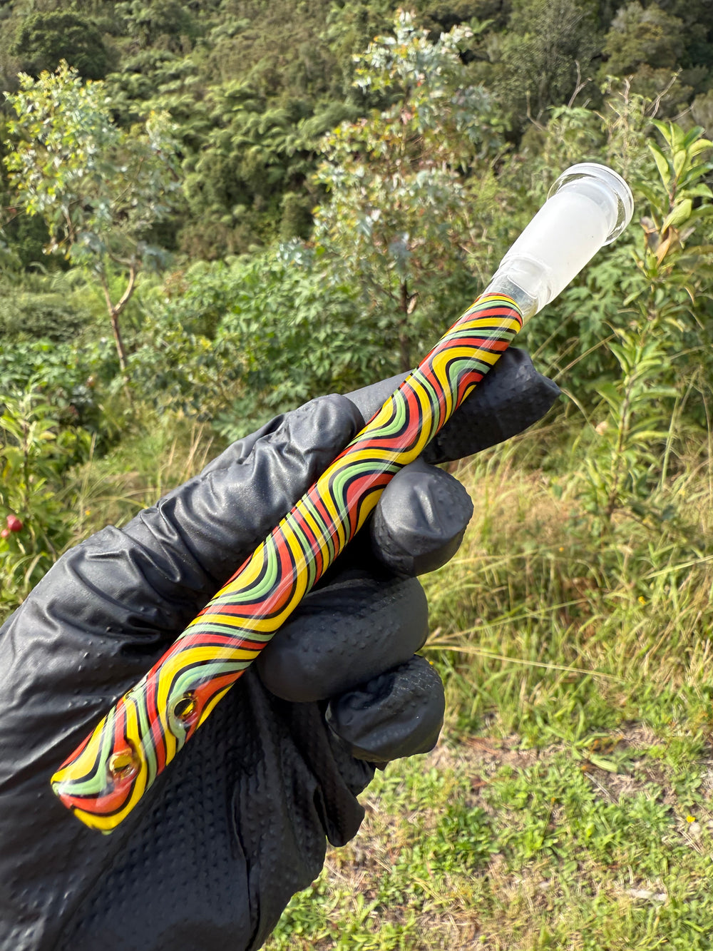 Jamie Clement Glass Collaboration   Downstem - Rasta